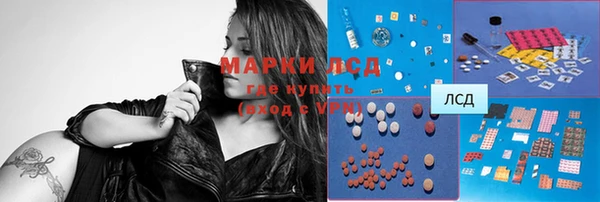 гашик Алексеевка