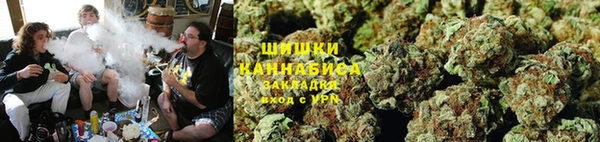 трава Алзамай